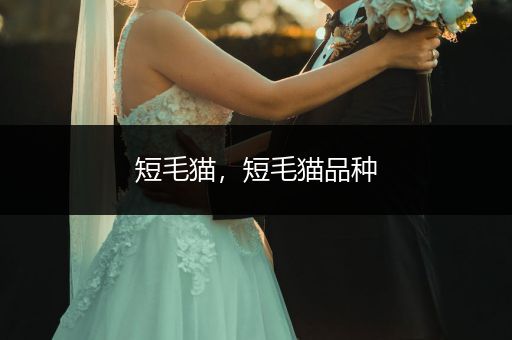 短毛貓，短毛貓品種