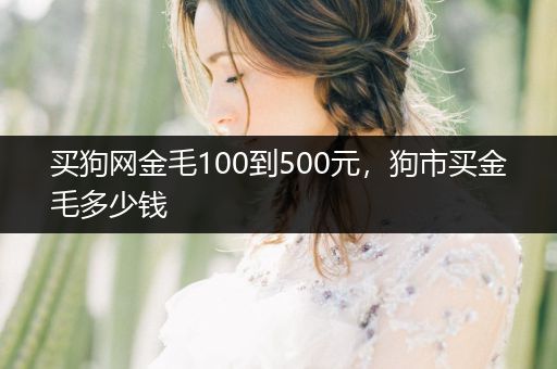 買狗網(wǎng)金毛100到500元，狗市買金毛多少錢