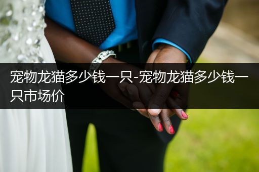 寵物龍貓多少錢一只-寵物龍貓多少錢一只市場價