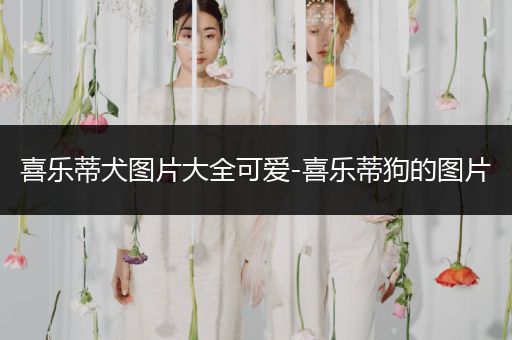 喜樂蒂犬圖片大全可愛-喜樂蒂狗的圖片