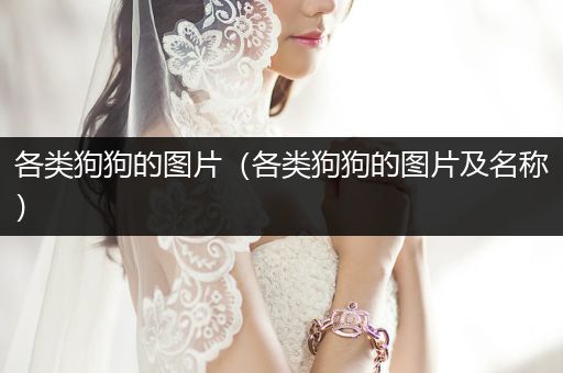 各類狗狗的圖片（各類狗狗的圖片及名稱）