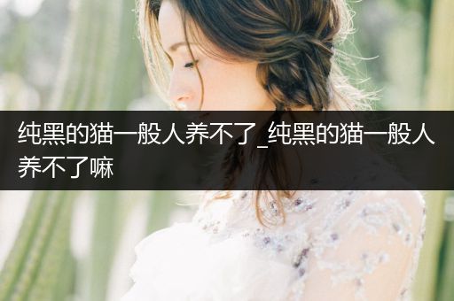 純黑的貓一般人養(yǎng)不了_純黑的貓一般人養(yǎng)不了嘛