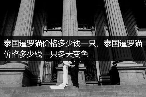泰國暹羅貓價格多少錢一只，泰國暹羅貓價格多少錢一只冬天變色