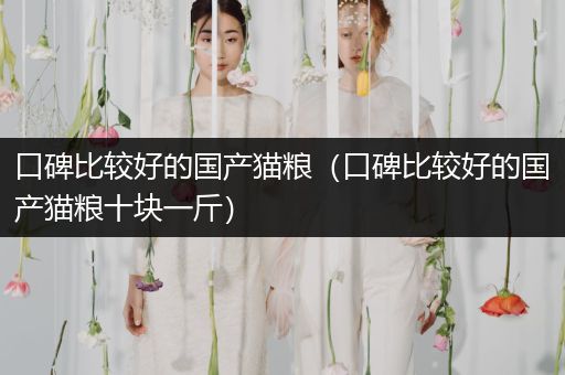 口碑比較好的國產貓糧（口碑比較好的國產貓糧十塊一斤）