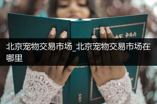 北京寵物交易市場_北京寵物交易市場在哪里
