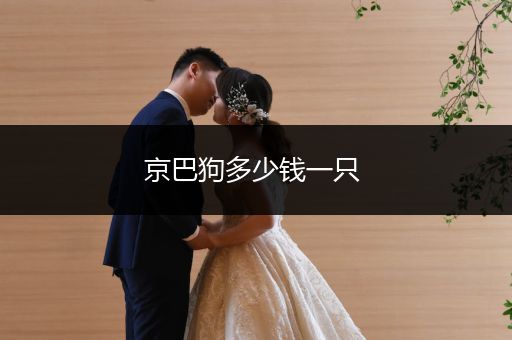 京巴狗多少錢一只 