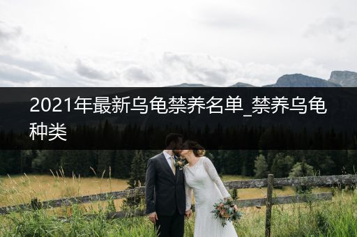 2021年最新烏龜禁養(yǎng)名單_禁養(yǎng)烏龜種類