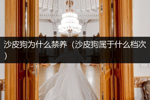 沙皮狗為什么禁養(yǎng)（沙皮狗屬于什么檔次）