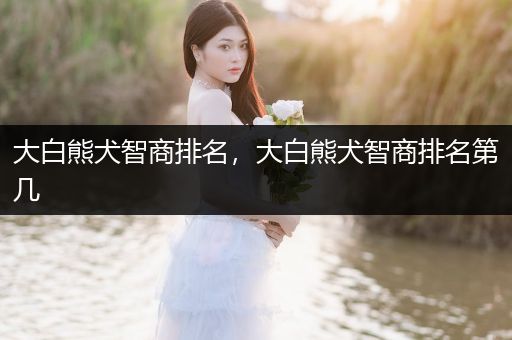 大白熊犬智商排名，大白熊犬智商排名第幾