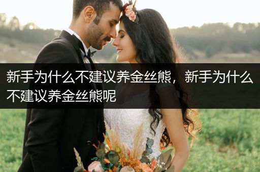 新手為什么不建議養(yǎng)金絲熊，新手為什么不建議養(yǎng)金絲熊呢