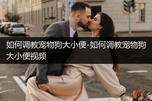 如何調(diào)教寵物狗大小便-如何調(diào)教寵物狗大小便視頻