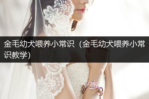 金毛幼犬喂養(yǎng)小常識（金毛幼犬喂養(yǎng)小常識教學）