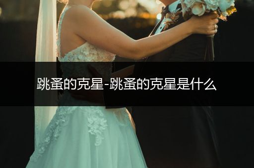 跳蚤的克星-跳蚤的克星是什么