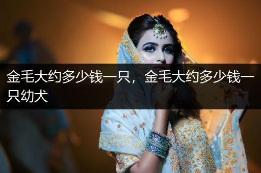 金毛大約多少錢一只，金毛大約多少錢一只幼犬