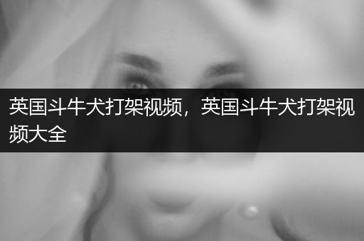 英國斗牛犬打架視頻，英國斗牛犬打架視頻大全