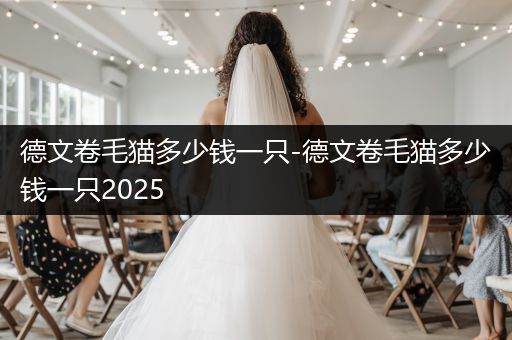 德文卷毛貓多少錢(qián)一只-德文卷毛貓多少錢(qián)一只2025