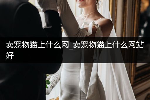 賣寵物貓上什么網(wǎng)_賣寵物貓上什么網(wǎng)站好