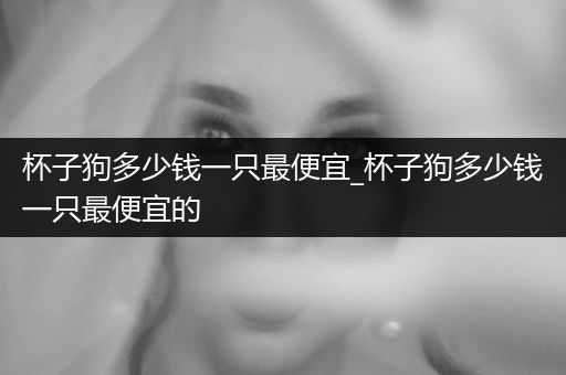 杯子狗多少錢一只最便宜_杯子狗多少錢一只最便宜的