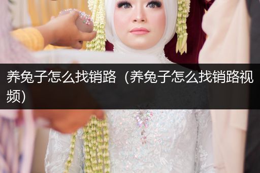 養(yǎng)兔子怎么找銷路（養(yǎng)兔子怎么找銷路視頻）