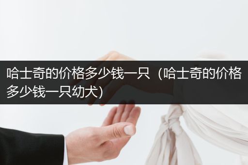 哈士奇的價(jià)格多少錢一只（哈士奇的價(jià)格多少錢一只幼犬）