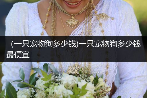 （一只寵物狗多少錢(qián))一只寵物狗多少錢(qián)最便宜