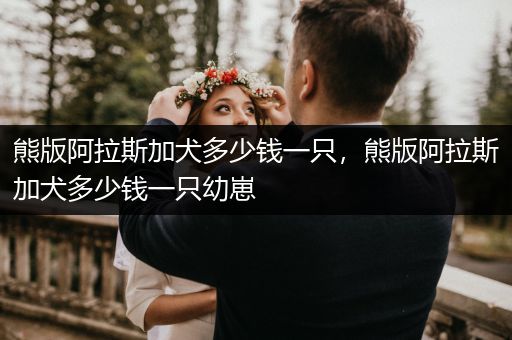 熊版阿拉斯加犬多少錢一只，熊版阿拉斯加犬多少錢一只幼崽