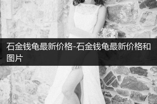 石金錢龜最新價(jià)格-石金錢龜最新價(jià)格和圖片