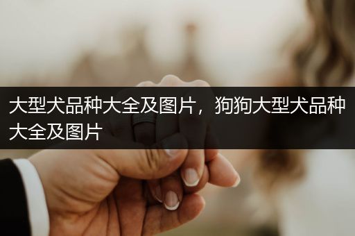 大型犬品種大全及圖片，狗狗大型犬品種大全及圖片