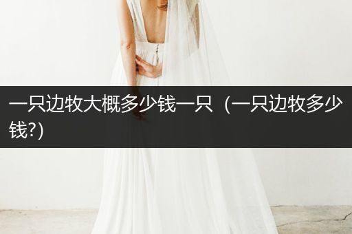 一只邊牧大概多少錢一只（一只邊牧多少錢?）