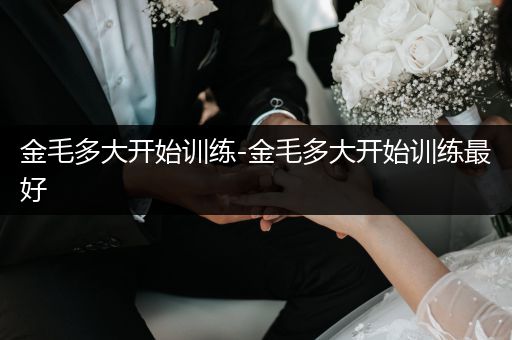 金毛多大開始訓(xùn)練-金毛多大開始訓(xùn)練最好