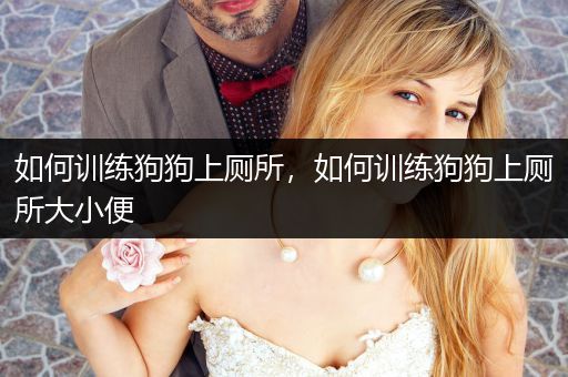 如何訓(xùn)練狗狗上廁所，如何訓(xùn)練狗狗上廁所大小便