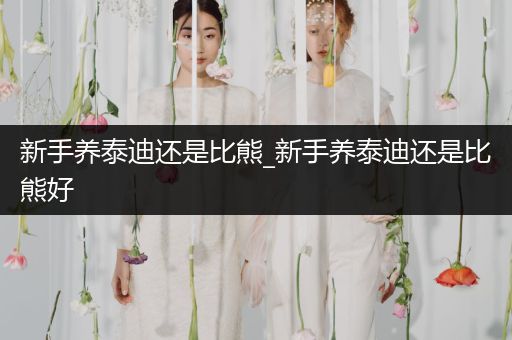 新手養(yǎng)泰迪還是比熊_新手養(yǎng)泰迪還是比熊好