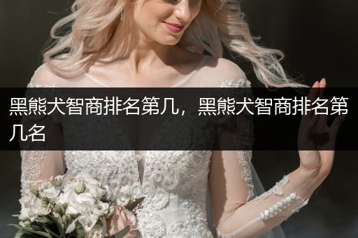 黑熊犬智商排名第幾，黑熊犬智商排名第幾名