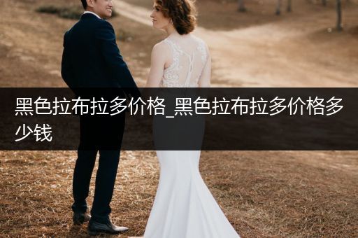 黑色拉布拉多價(jià)格_黑色拉布拉多價(jià)格多少錢