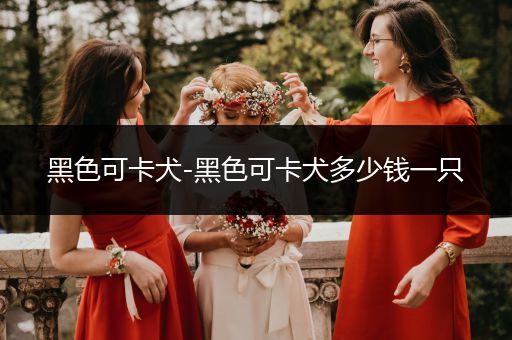 黑色可卡犬-黑色可卡犬多少錢一只