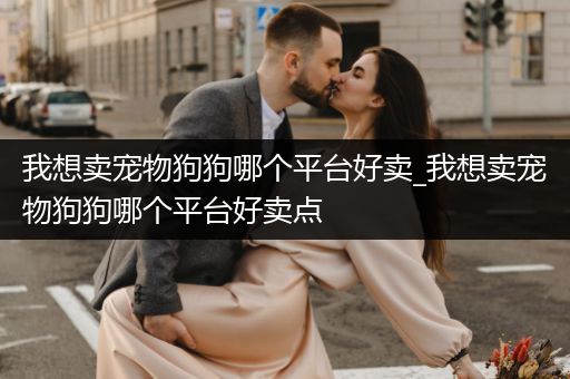 我想賣寵物狗狗哪個平臺好賣_我想賣寵物狗狗哪個平臺好賣點