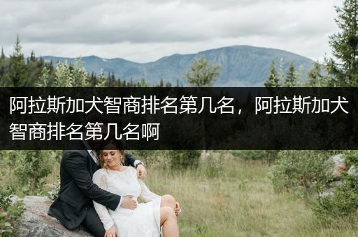 阿拉斯加犬智商排名第幾名，阿拉斯加犬智商排名第幾名啊