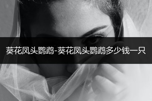 葵花鳳頭鸚鵡-葵花鳳頭鸚鵡多少錢一只