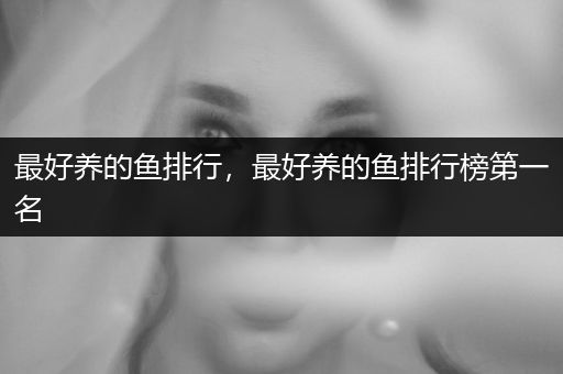 最好養(yǎng)的魚排行，最好養(yǎng)的魚排行榜第一名