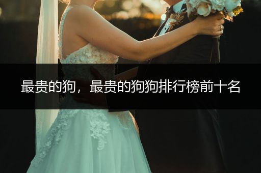 最貴的狗，最貴的狗狗排行榜前十名