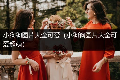 小狗狗圖片大全可愛（小狗狗圖片大全可愛超萌）