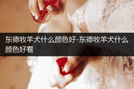 東德牧羊犬什么顏色好-東德牧羊犬什么顏色好看