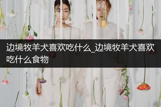 邊境牧羊犬喜歡吃什么_邊境牧羊犬喜歡吃什么食物