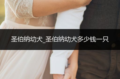 圣伯納幼犬_圣伯納幼犬多少錢一只