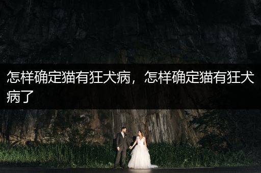 怎樣確定貓有狂犬病，怎樣確定貓有狂犬病了