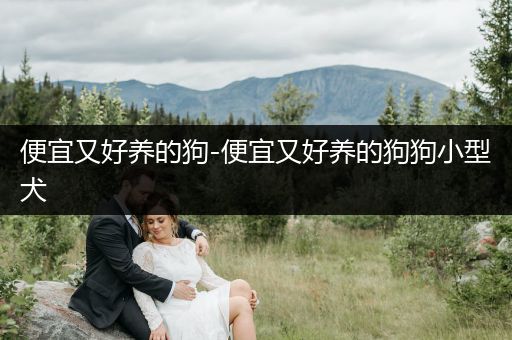 便宜又好養(yǎng)的狗-便宜又好養(yǎng)的狗狗小型犬