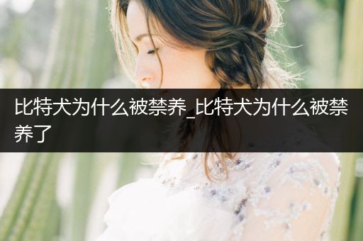 比特犬為什么被禁養(yǎng)_比特犬為什么被禁養(yǎng)了