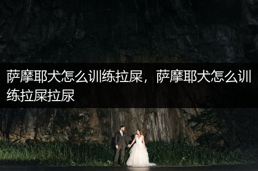 薩摩耶犬怎么訓(xùn)練拉屎，薩摩耶犬怎么訓(xùn)練拉屎拉尿