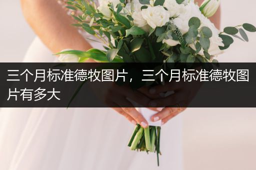 三個月標準德牧圖片，三個月標準德牧圖片有多大