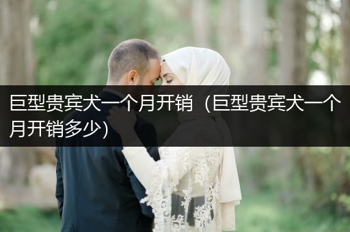 巨型貴賓犬一個月開銷（巨型貴賓犬一個月開銷多少）